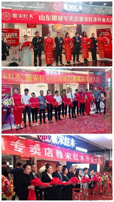 雅宋紅木部分旗艦店開業(yè)盛況 雅宋紅木部分旗艦店開業(yè)盛況