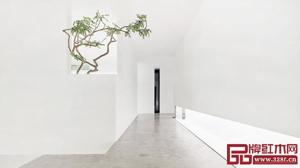 設(shè)計(jì)空間的留白,綠植的存在更顯空曠與天地寬廣 設(shè)計(jì)空間的留白,綠植的存在更顯空曠與天地寬廣