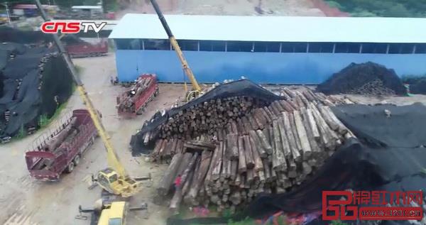云南10萬(wàn)噸走私花梨、紫檀、紅酸枝等木材被查,價(jià)值高達(dá)數(shù)億元 云南10萬(wàn)噸走私花梨、紫檀、紅酸枝等木材被查,價(jià)值高達(dá)數(shù)億元