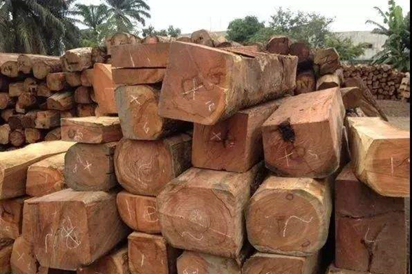 一周紅木天下事：刺猬紫檀價格出現(xiàn)下滑|第90期