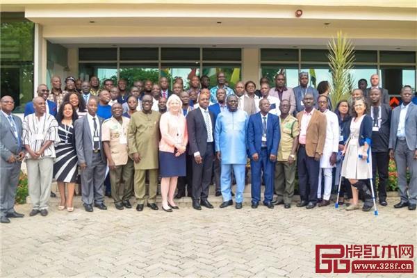 西非15國(guó)發(fā)布《打擊刺猬紫檀非法貿(mào)易宣言》 