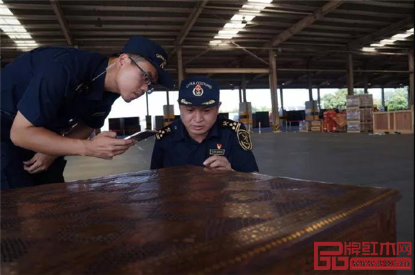 天津海關(guān)所屬新港海關(guān)查獲一批檀木偽報杉木的貨物