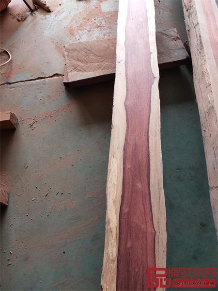 巴厘黃檀橫切面 巴厘黃檀橫切面