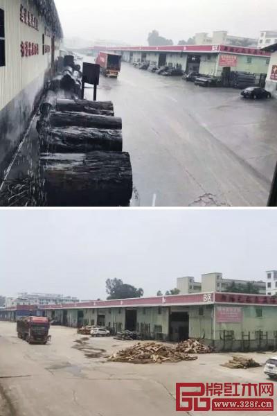 2018 年 8 月新陽光紅木交易市場 2018 年 8 月新陽光紅木交易市場