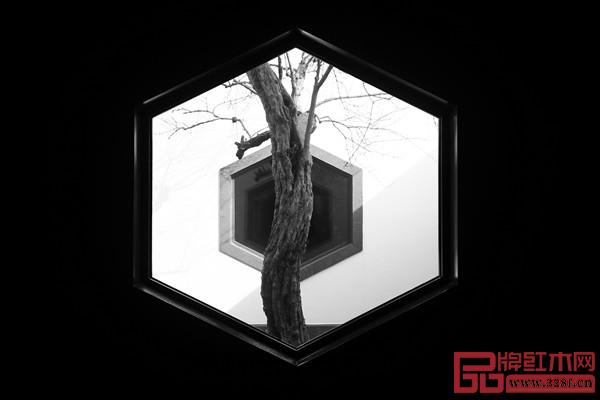 窗含古木,用借景的手法,產(chǎn)生了獨特的景觀 窗含古木,用借景的手法,產(chǎn)生了獨特的景觀