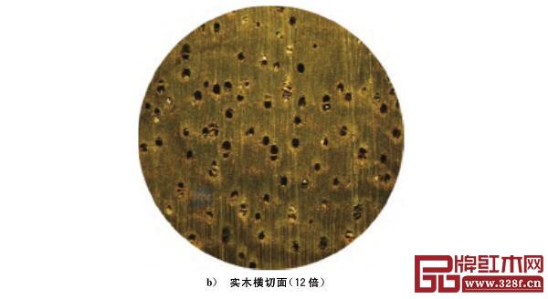 闊葉黃檀宏觀構(gòu)造照片 闊葉黃檀宏觀構(gòu)造照片