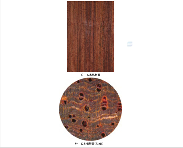 刺猬紫檀宏觀構(gòu)造 刺猬紫檀宏觀構(gòu)造