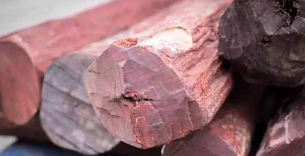 紅木基本知識(shí) 紅木家具的紅木是指什么材料？