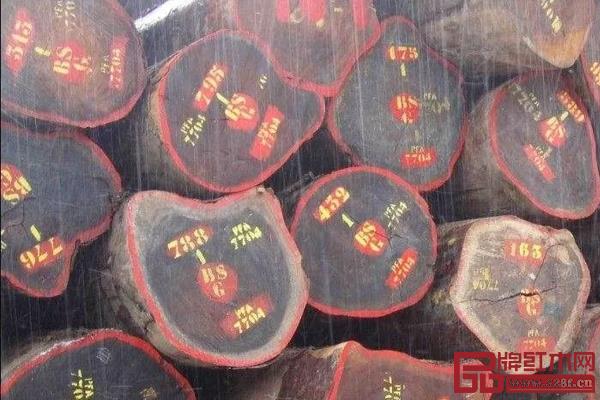 亞馬孫黃檀 亞馬孫黃檀