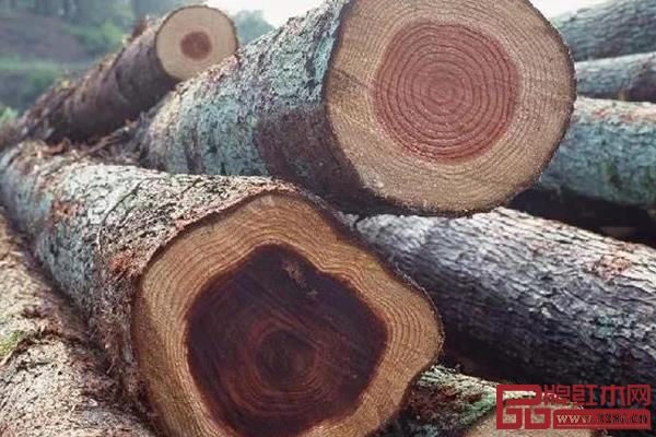 伯利茲黃檀 伯利茲黃檀