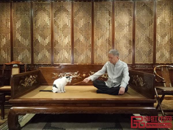 馬未都先生與觀復博物館里的貓館長