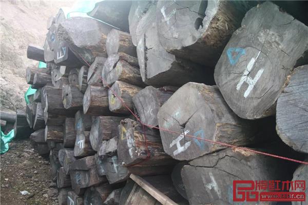 古森紅木在闊葉黃檀產(chǎn)地印度尼西亞的木材供應(yīng)基地 古森紅木在闊葉黃檀產(chǎn)地印度尼西亞的木材供應(yīng)基地