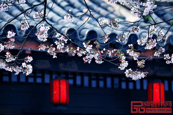 窗前,暗香浮動(dòng) 窗前,暗香浮動(dòng)