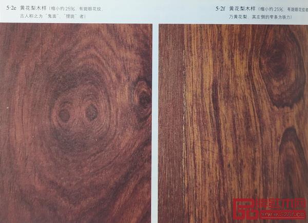 帶斑眼花紋的黃花梨木樣兩例(《明式家具研究》) 帶斑眼花紋的黃花梨木樣兩例(《明式家具研究》)