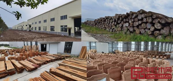 酈泰鴻紅木產(chǎn)業(yè)園打通上下游產(chǎn)業(yè)鏈，入園企業(yè)積極投產(chǎn)