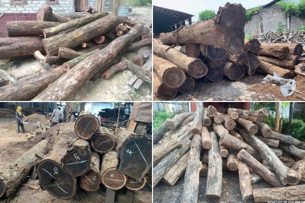 八臻國際：闊葉黃檀新中式正流行，選對原材供應商很重要