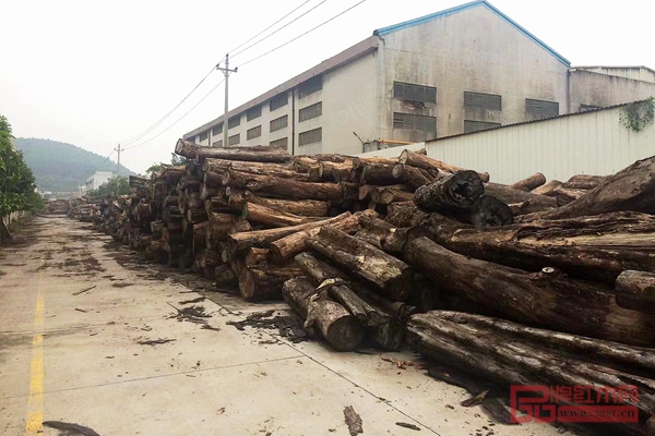 雄業(yè)·本木上造優(yōu)質(zhì)木材儲(chǔ)備充裕 雄業(yè)·本木上造優(yōu)質(zhì)木材儲(chǔ)備充裕