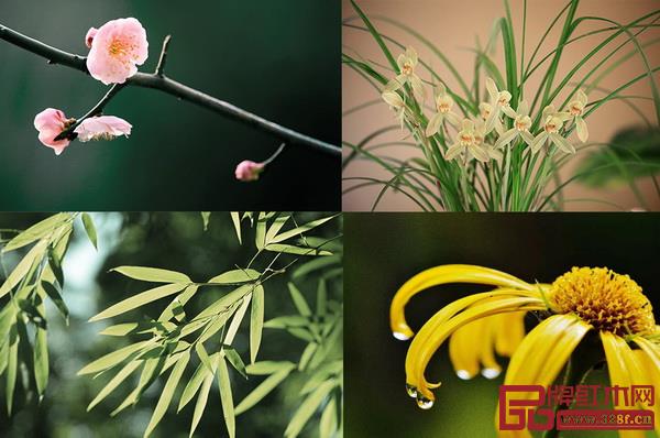 梅蘭竹菊,在中國文化里有個特別的雅號,即“四君子” 梅蘭竹菊,在中國文化里有個特別的雅號,即“四君子”