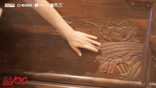 亭亭玉立的蓮花、生機(jī)蓬勃的蓮葉,充滿了張力 亭亭玉立的蓮花、生機(jī)蓬勃的蓮葉,充滿了張力