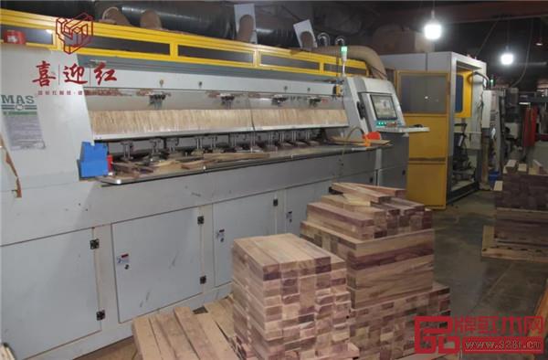 喜迎紅紅木 喜迎紅紅木