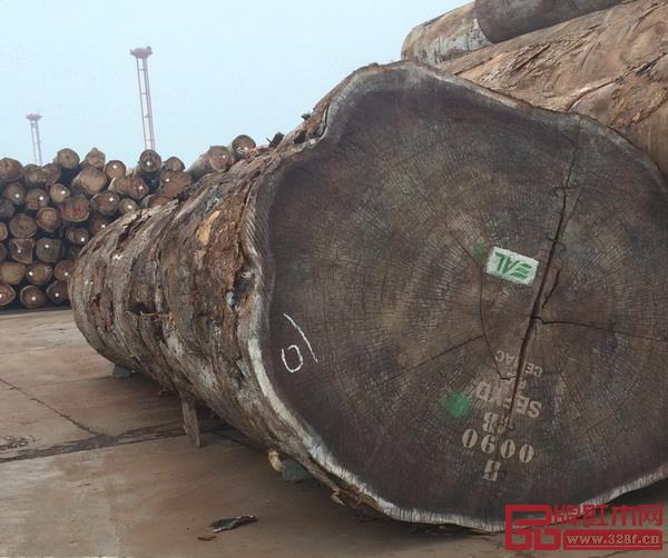 學名:古夷蘇木,俗名:巴花、巴西花梨 學名:古夷蘇木,俗名:巴花、巴西花梨