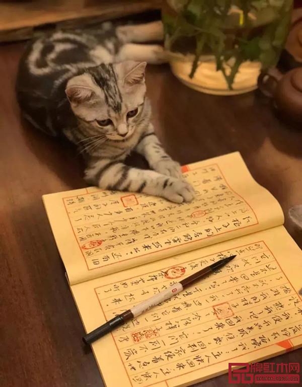 致遠(yuǎn)家具產(chǎn)品圖 致遠(yuǎn)家具產(chǎn)品圖