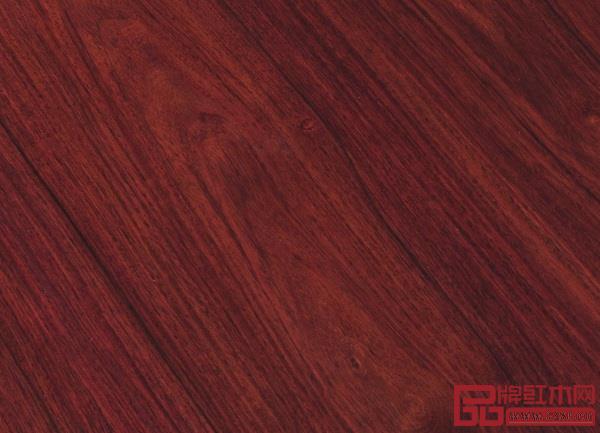 喜迎紅紅木 喜迎紅紅木