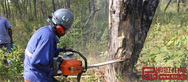 木材進(jìn)口管制升級導(dǎo)致國內(nèi)市場供需矛盾日益突出,漲價(jià)已成必然,但繼續(xù)上升的空間不大 木材進(jìn)口管制升級導(dǎo)致國內(nèi)市場供需矛盾日益突出,漲價(jià)已成必然,但繼續(xù)上升的空間不大