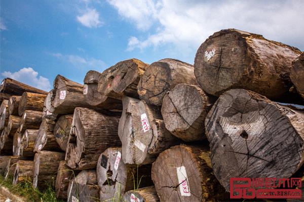 紅木家具價格居高不下，《品牌紅木》雜志為您解開漲價焦慮