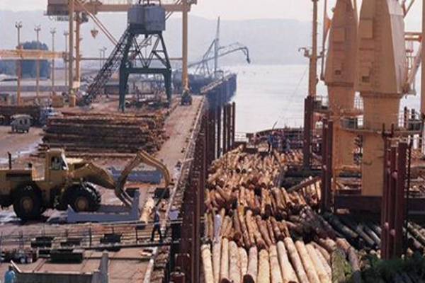 重磅：管制再升級(jí)！木材漲價(jià)已成必然！