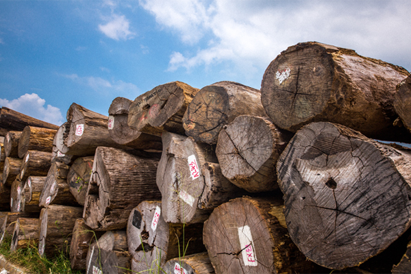 “漲價(jià)潮”逐步蔓延，企業(yè)經(jīng)營陷困成為事實(shí)