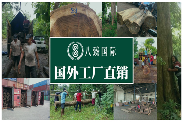八臻國際，特具影響力闊葉黃檀木材供應商