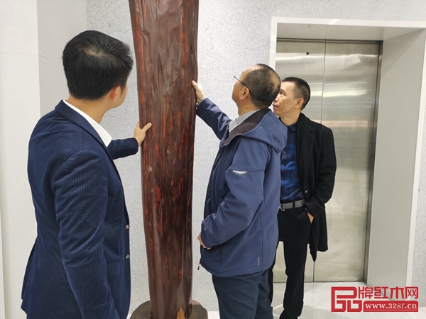 故宮博物院家具研究員周京南(中)品鑒波記紫檀館小葉紫檀木材 故宮博物院家具研究員周京南(中)品鑒波記紫檀館小葉紫檀木材