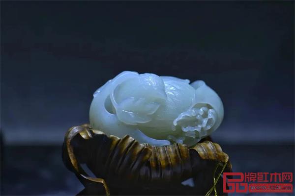 泰和園年終回顧:跨界2021 綻放2022 泰和園年終回顧:跨界2021 綻放2022