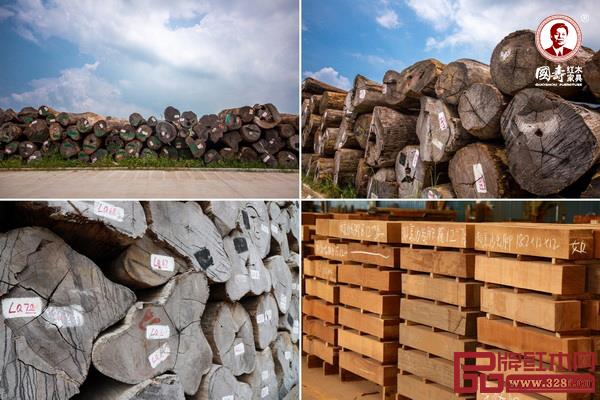 圖片來源：國壽紅木工廠儲備的緬甸花梨原木及鋸材