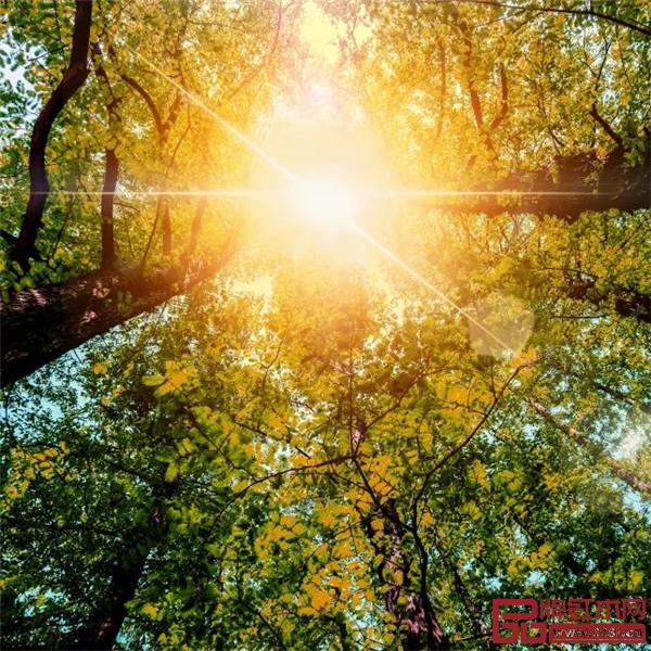 巧奪天工紅木傳世之家 | 藏于十二時辰里的中國絕美傳統(tǒng)色