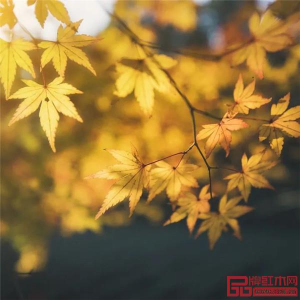 巧奪天工紅木傳世之家 | 藏于十二時辰里的中國絕美傳統(tǒng)色