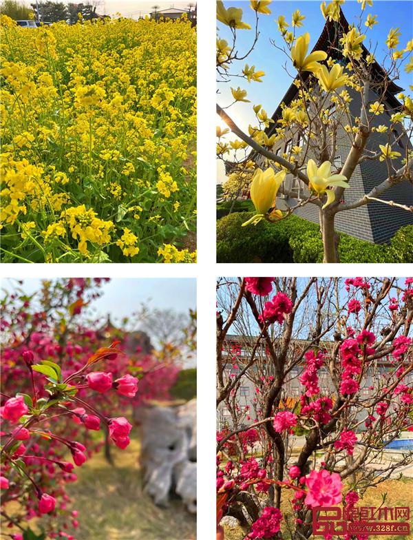 巧奪天工紅木傳世之家 | 俯仰之間皆風景 邀您共賞“花園式工廠” 巧奪天工紅木傳世之家 | 俯仰之間皆風景 邀您共賞“花園式工廠”