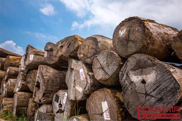 國壽紅木精選紅木原材 國壽紅木精選紅木原材