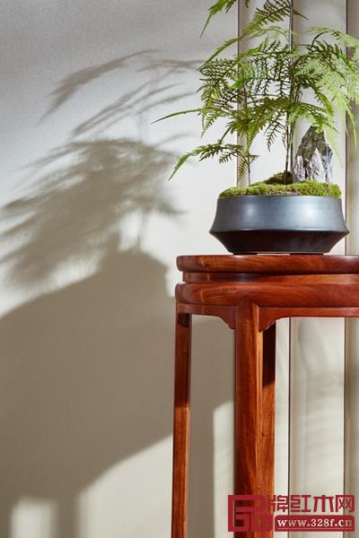 《團(tuán)圓花架》 《團(tuán)圓花架》