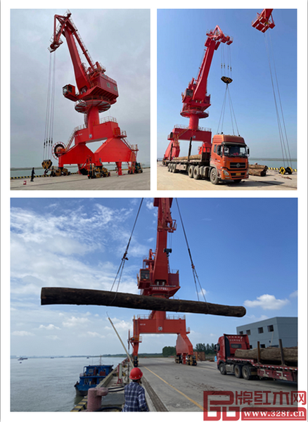 酈泰鴻紅木園將木材引進(jìn)了園區(qū)，并通過(guò)水運(yùn)方式成功實(shí)現(xiàn)了原材從張家港到監(jiān)利港的運(yùn)輸