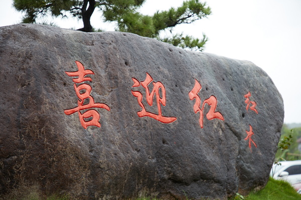 喜迎紅獲2022年度東陽市木雕紅木家具骨干企業(yè) 展紅酸枝品牌魅力