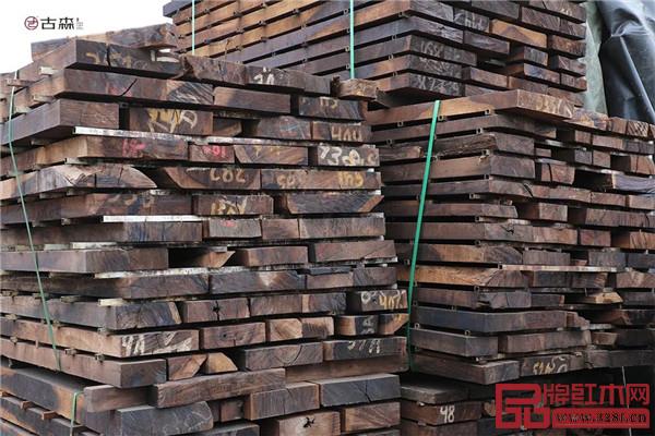 古森紅木 古森紅木