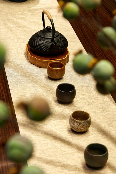 名木居倡導(dǎo)中式茶生活 名木居倡導(dǎo)中式茶生活