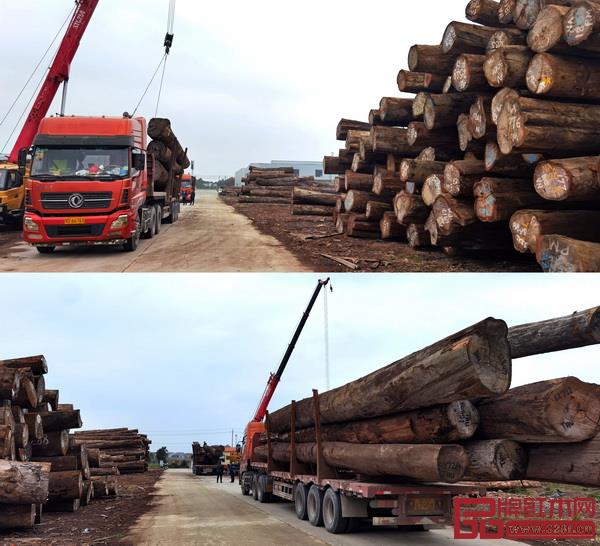 酈泰鴻紅木園原材料配送中心已全面建成并投入運(yùn)營 酈泰鴻紅木園原材料配送中心已全面建成并投入運(yùn)營