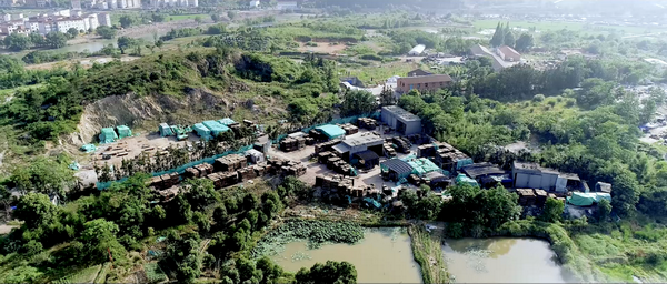 古森紅木 古森紅木