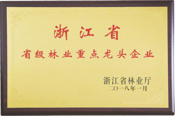 大成尚品榮獲浙江省林業(yè)重點(diǎn)龍頭企業(yè)