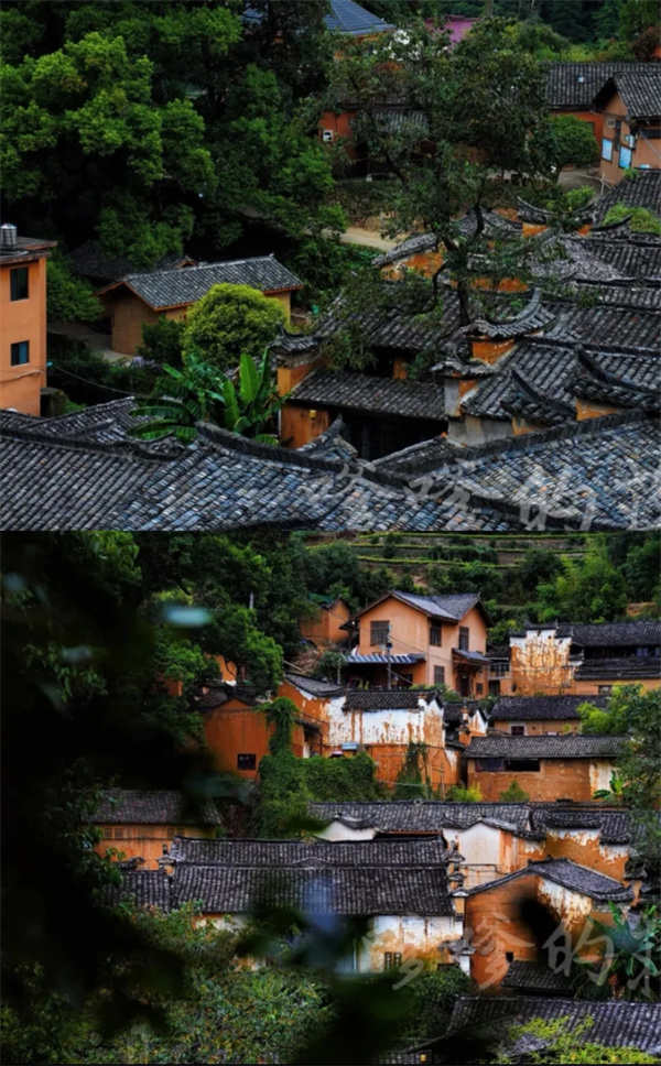 圖源：小紅書@地球觀光客