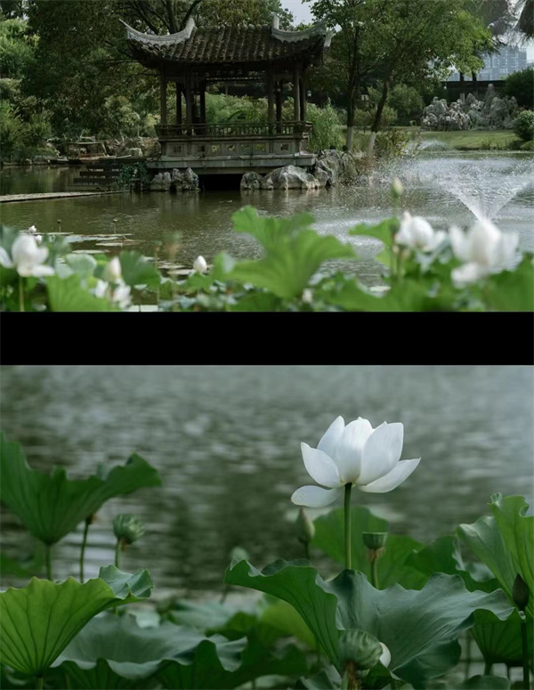 圖源：小紅書@墨塵TH（風(fēng)景版）