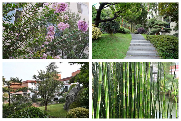 卓木王花園式工廠一步一景